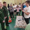 Парни